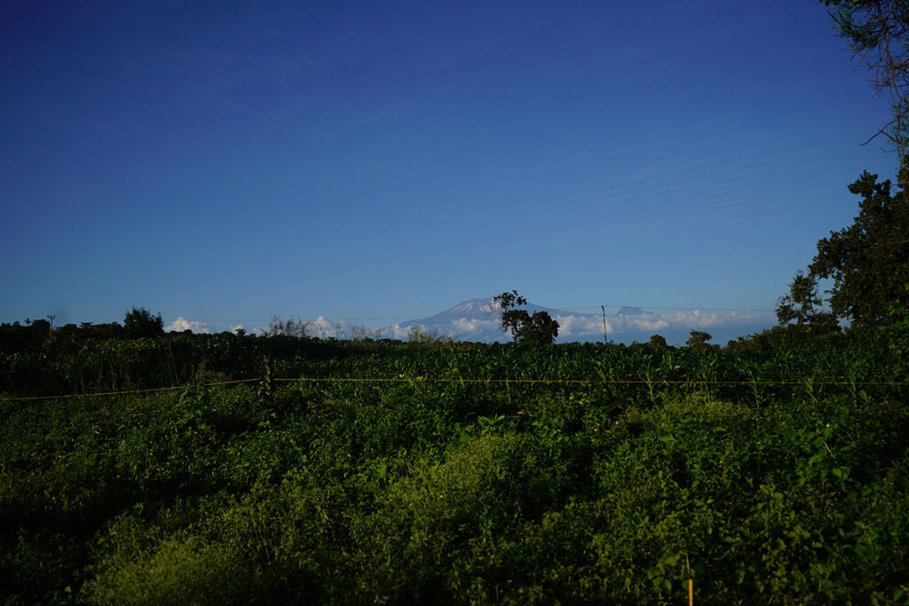 6475d5cdfd0a85c9a8499ece slideshow1