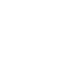 Icône du lion