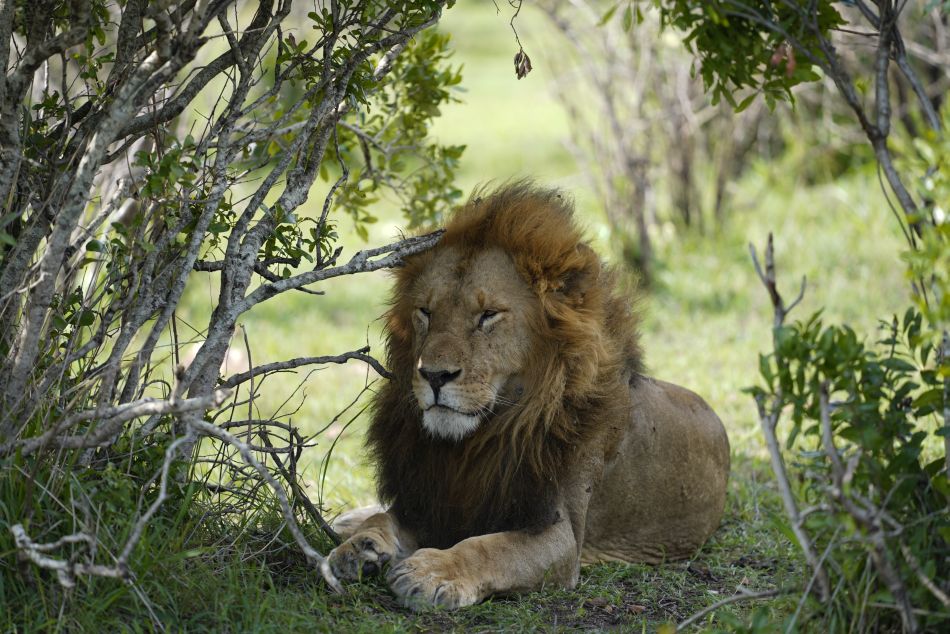 69242677f3e275ea09851f2b 7R42242